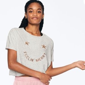 VS PINK Holiday Short Sleeve Crop Tee sz LG